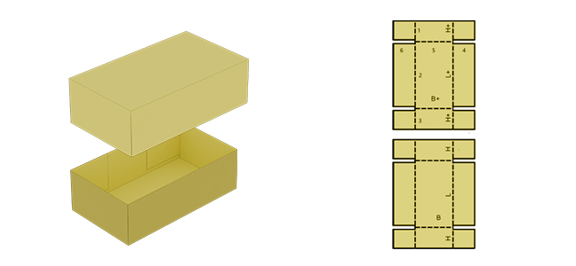 Box Type 4